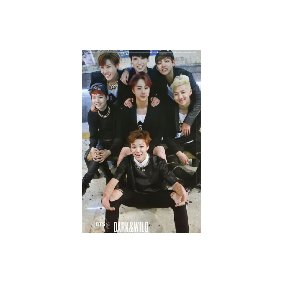 BTS - DARK & WILD Photocards