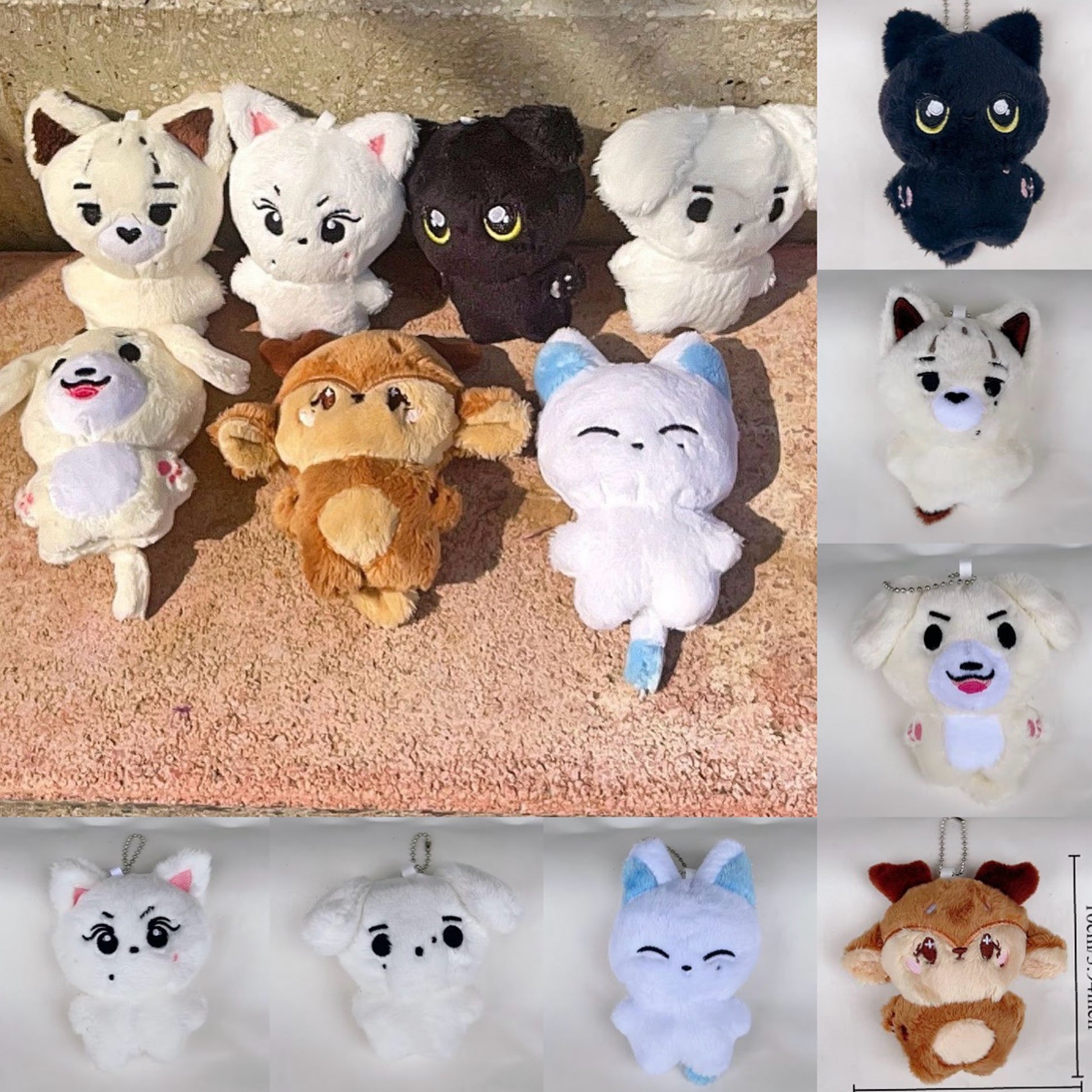 Peluches ENHYPEN + Photocard