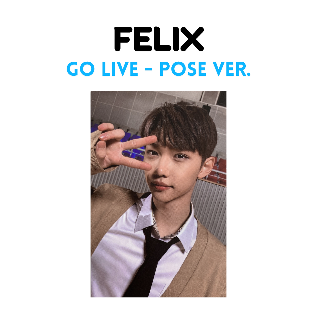STRAY KIDS - GO生 Photocards